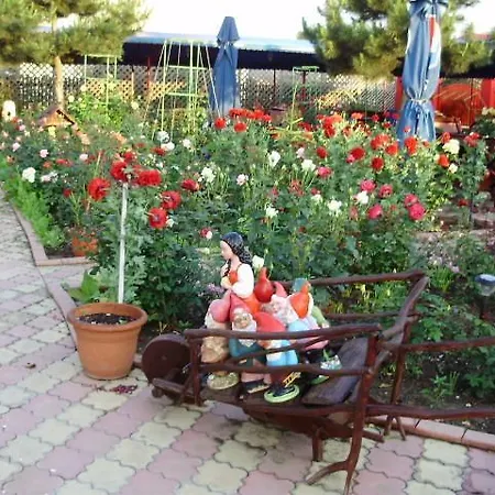 Guest house Casa Margo 2 Mai