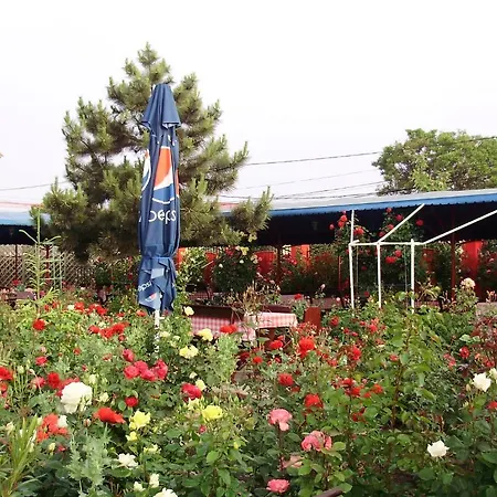 Casa Margo Guest house 2 Mai