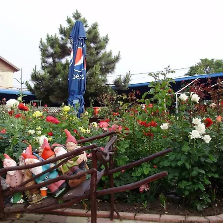 Guest house Casa Margo