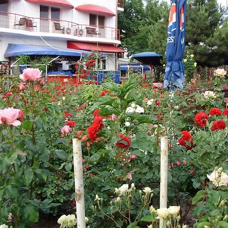 Guest house Casa Margo 2 Mai