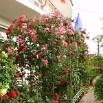 Casa Margo 3*