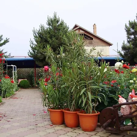 Casa Margo Pensiune 3*