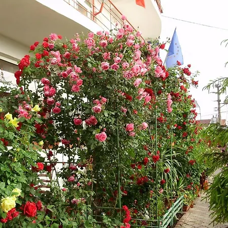 Casa Margo 3*