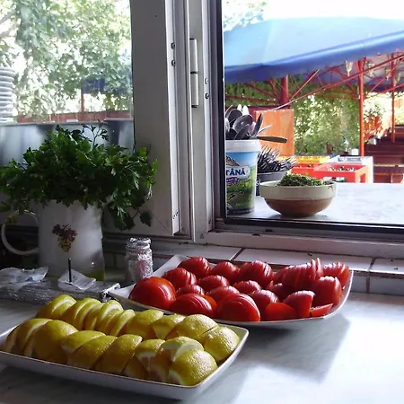 Vendégház Casa Margo Două Mai