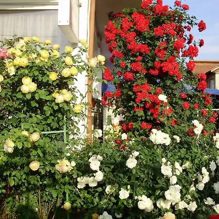 Casa Margo Pensiune 2 Mai