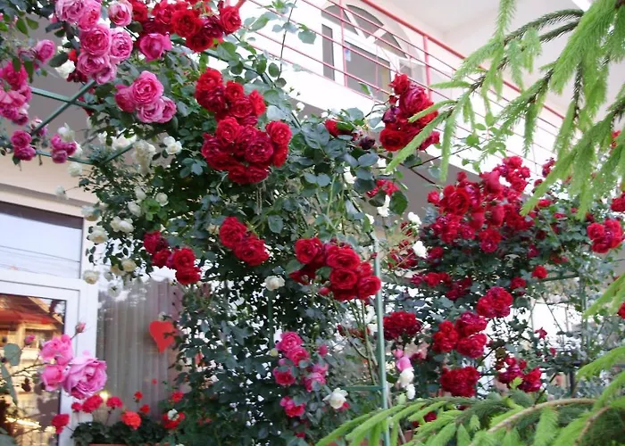 Vendégház Casa Margo