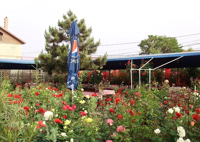 Casa Margo Vendégház Două Mai